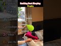 Ranking Best Sleeping Pranks