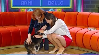 Top 10 Legs Of Italian Television - Caterina Balivo