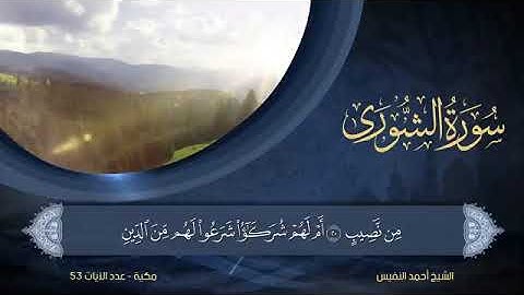 سورة الشورى   مكتوبة للشيخ أحمد النفيس / المصحف المرتل كاملا