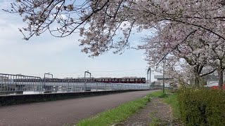 【桜】阪急1300系 普通大阪梅田行 相川〜正雀間通過