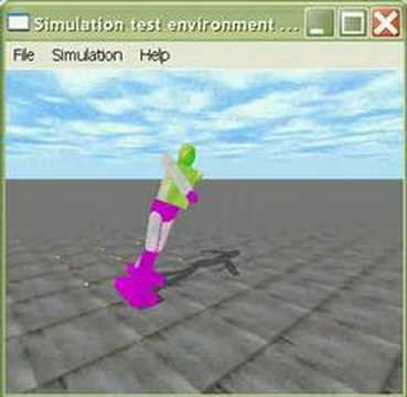 PSO robot controller