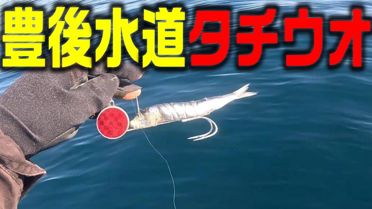 【遊漁船】豊後水道で初タチウオ釣りが楽しかった件【コラボ】