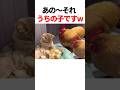 鶏の親子に圧力をかけられるw