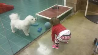 PETSMART CARY. Dog's playing with baby Victoria! .. petsmart is the best place for babies
