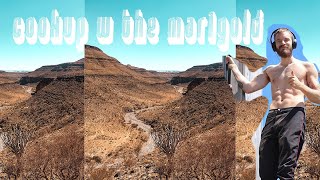 African House in FL Studio using Splice Samples | How to sample percussion (walkthrough)