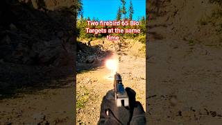 shooting two firebird 65 Bio targets at the same time w/ my Ruger 57