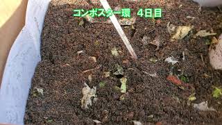 【生ごみコンポスター環】２日目～５日目　まるでお風呂??すでに微生物の力で土が温かくなってます‼コンポスト