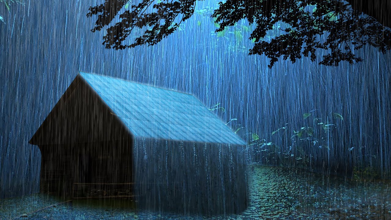 дождь Расслабьтесь в туманном лесу, чтобы поспать 3 минуты - Звук дождя и грозы