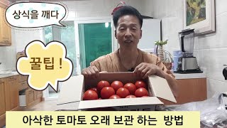 아삭한 토마토 오래 보관하기 꿀팁!!
