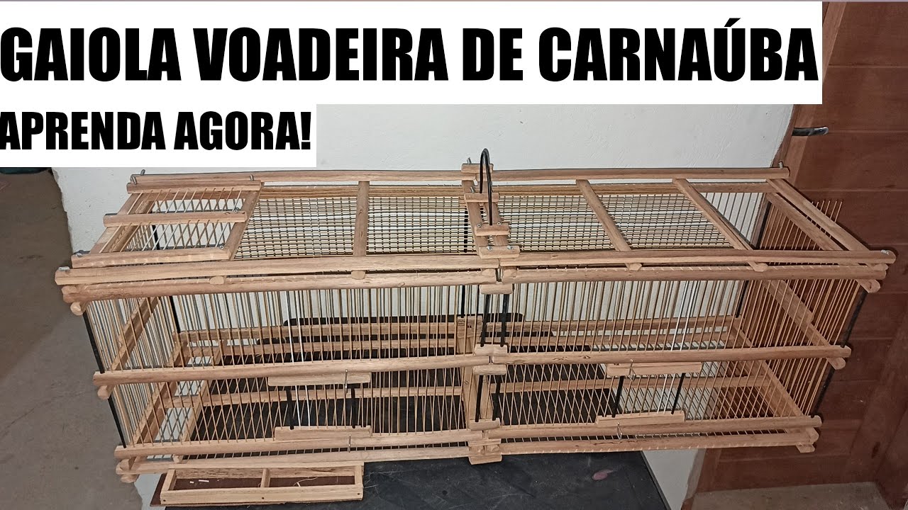 Terminando a GAIOLA VOADEIRA | Feita de CARNAÚBA... (passo a passo)