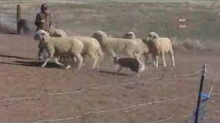 Glen ABC 311179 April video