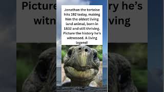 Jonathan the Tortoise Turns 192, Oldest Living Land Animal