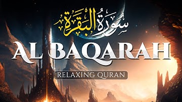 Best Relaxing Heart Touching Voice, Surah Al Baqarah Full (سورة البقره) - AHMAD AL SHALABI