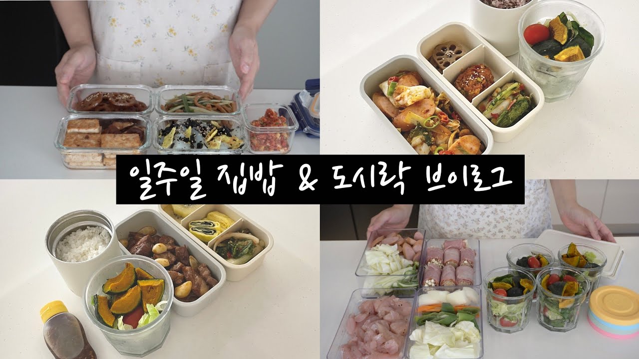 매일 아침 도시락 만드는 것이 지속 가능한 이유. 미리 만들어두고 바쁜 아침 30분 절약하세요 (feat. 밀키트)