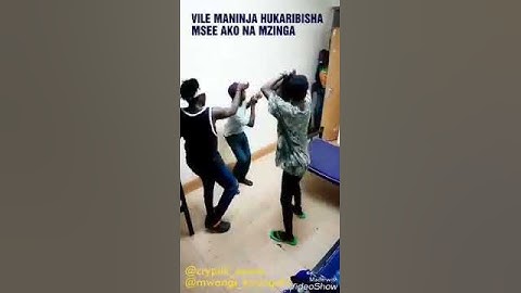 Particula dance with odi