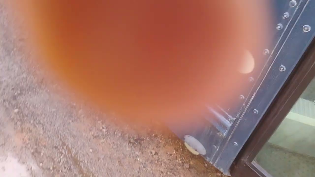 Walk around and inside tour of 2014 blue bird all American T3FE