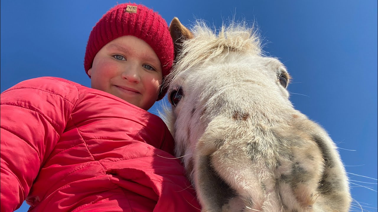 Day in the life as an equestrian ￼