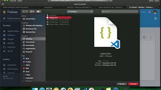 How to import JSON data to Firebase to create sub-node
