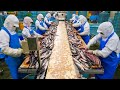 5万枚の干物製造プロセス。日本最大級の干物工場の1日に密着。