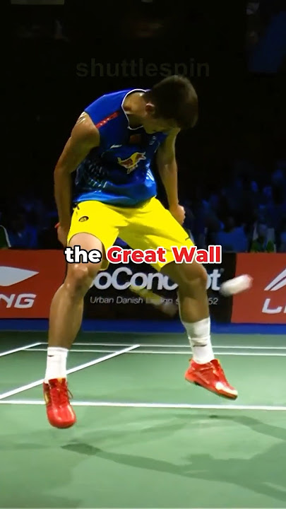The Rally That Shook the 2014 World Championship! #badminton #leechongwei #chenlong