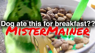 Dog Ate This For Breakfast?? Mistermainer
