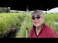 江戸和竿師「竿昌」の釣り紀行～ヤリタナゴ編～