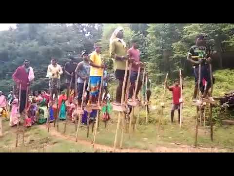 हरेली तिहार / अकाळी