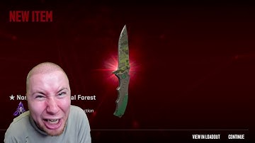 BEST CASE OPENINGS IN COUNTER-STRIKE 2 (WEEK 37)