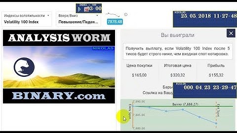 ANALYSIS WORM Binary.com