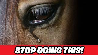 7 Things You’re Doing That Make Your Horse SAD (Without Realizing It 😢)