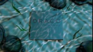DRACO - Intro/Outro #2