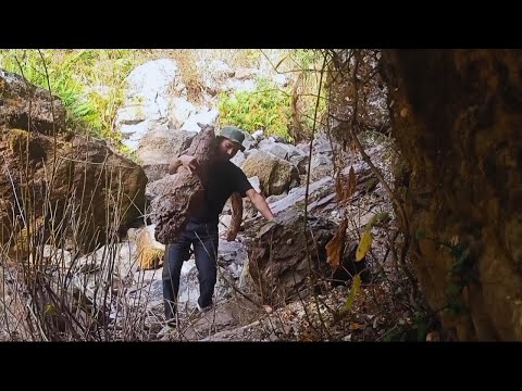 30 Days Survival Challange in the Forest || solo survival Bushcraft. # ...