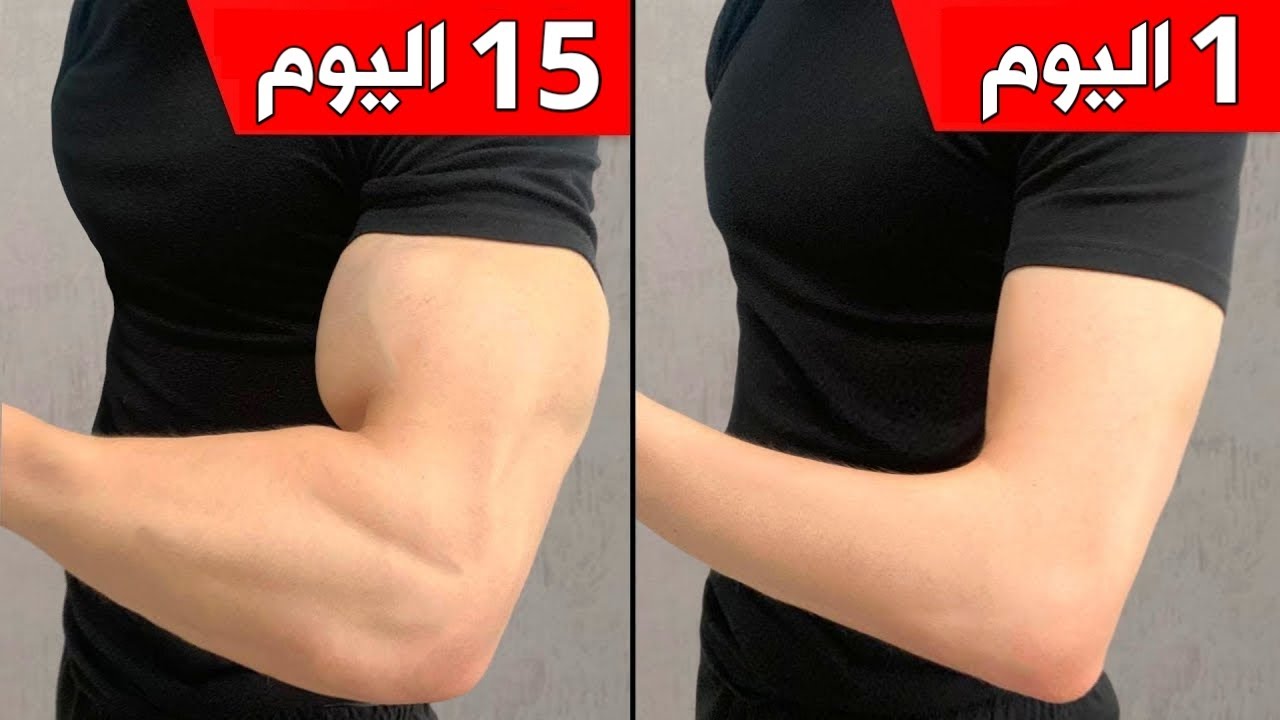 إليك تمرين سهل وسريع لتكبير وتقوية عضلة ذراع البايسبس و ترايسبس في المنزل [خلال 15 يوم ستلاحظ الفرق]