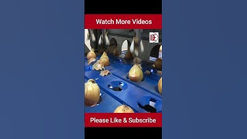 Food Industry Machines #shorts #foodProcessing