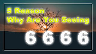🔴 5 Reasons Why Are You Seeing 6666? ✅ 6666 Angel Number Meaning