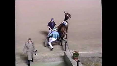 1997 Scioto Downs CACTUS ANNE Randy Tharps