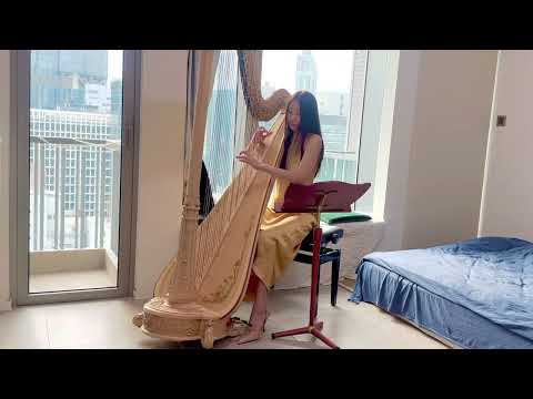 Titanic My Heart Will Go On 鐵達尼號主題曲 豎琴Harp Cover