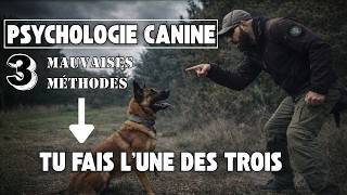 Trois erreurs pédagogiques majeures avec ton chien