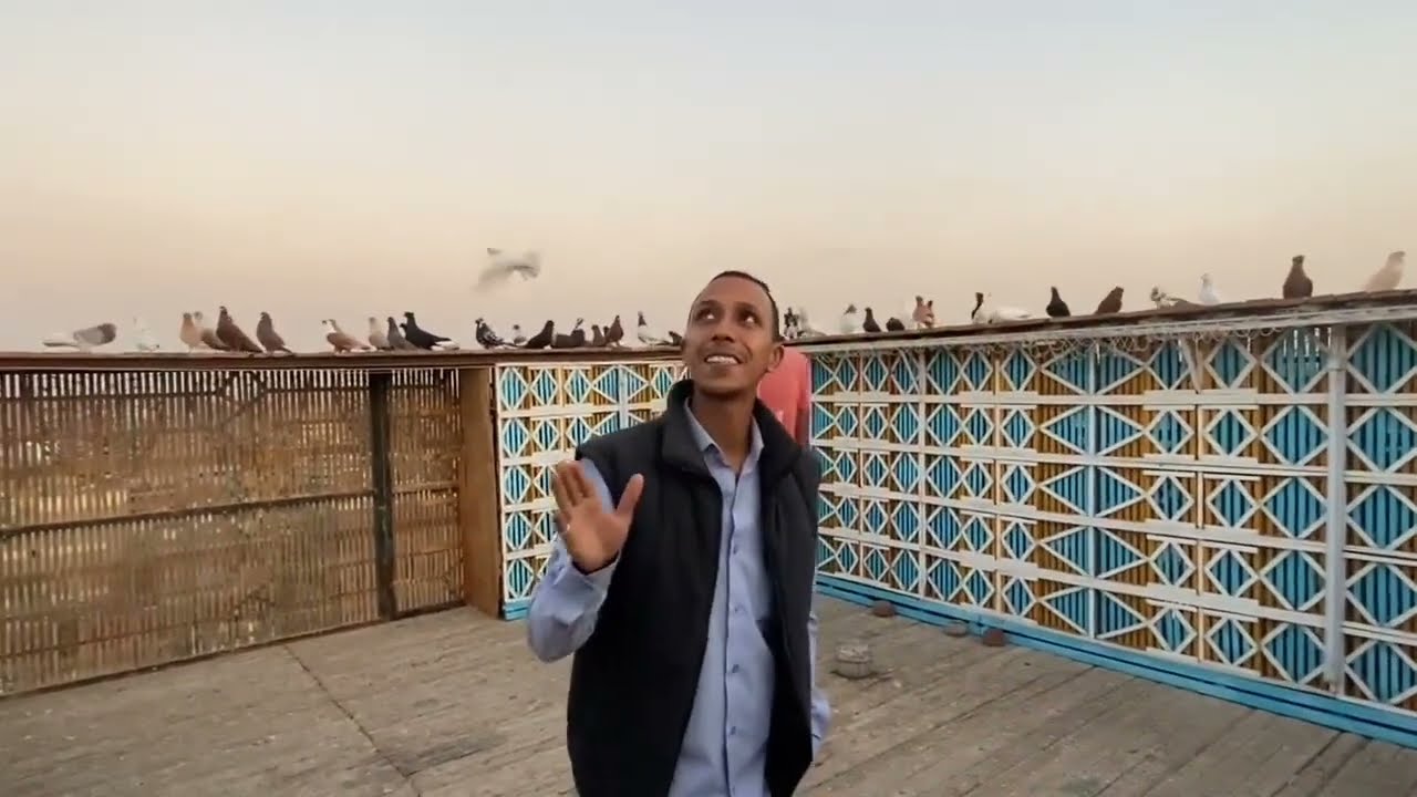 النش في عين شمس فيديو لحريفة النش 