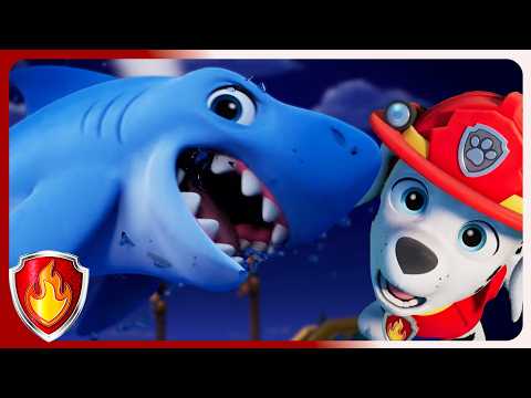 Shark Rescue Mission 🦈 | Marshall PAW Patrol | Cartoons for Kids
