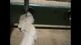 Carving machine MARIANI VIDEO 3