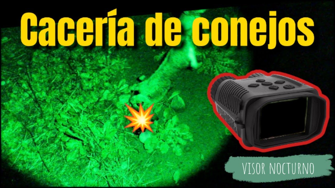 caza de conejos con visor nocturno rabbit hunting with night vision YouTube