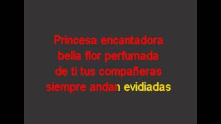 Video thumbnail of "BERTIN GOMEZ   PRINCESA ENCANTADORA PISTA"