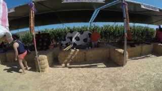 Pumpkin patch @ Tanaka farms (Irvine) HD
