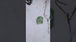 collection of metal. aluminum mining. search for aluminum cans.