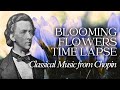 Winter vibes blooming flowers timelapse  classical music by chopin  background 4k