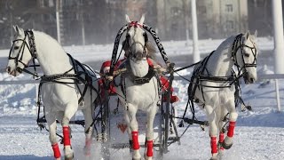 У ЛЕСА НА ОПУШКЕ ЖИЛА ЗИМА В ИЗБУШКЕ...