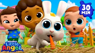 Class Pet Song! | Animal Learning Videos | Little Angel Kids Songs & Nursery Rhymes