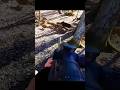 Ты тоже видел много кабанов, лучших охотников.#chasse#hunting#challenge#archery#best#shorts