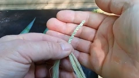 Extracting Yucca Fibers, Reverse Wrap Cordage, Bow Drill Fire